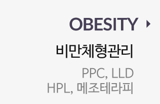 OBESITY 비만체형관리